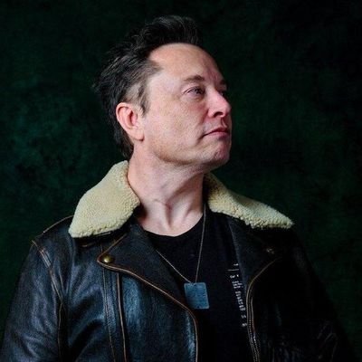 Elommusk5678's profile picture. TAKE RISKS NOW AND DO SOMETHING BOLD. YOU WON'T REGRET IT.