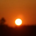 Robin Robin - @RobinRobin12936 - Twitter