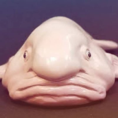 b5qxFDMdH1mluJG's profile picture. 