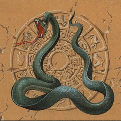 SnakeWise21's profile picture. 🐍 #GG33 Bronze | Gain28 | #CUE Lifetime | #GRINBERG2028