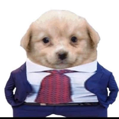 Kojoknights_'s profile picture. Last account got compromised let's start afresh