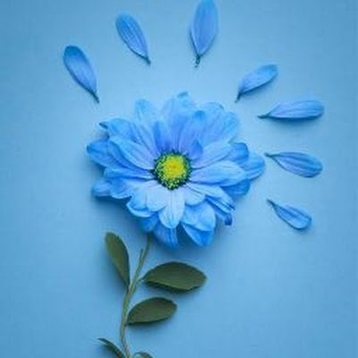 BeenishMug34616's profile picture. 