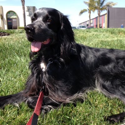 Dlazar22's profile picture. 