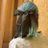 lonveluos's profile image