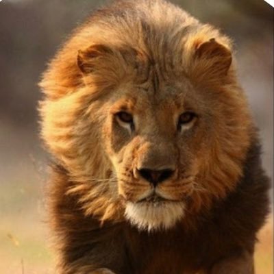 Born within a democrat family. Have since transitioned to the Republican Party. The government democrat politicians are no longer even remotely for the citizens