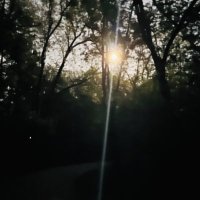 Mallu 🇨🇦🌿 (@mallugnslngr) 's Twitter Profile