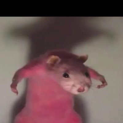 Kovaach86's profile picture. 