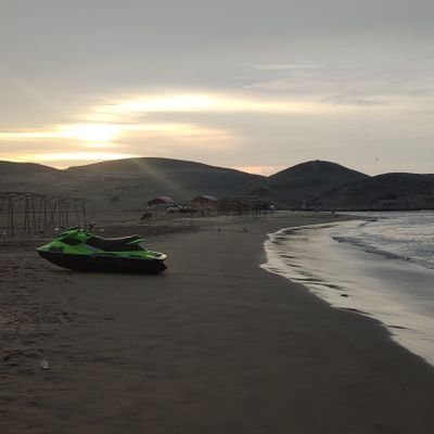 dangellss22's profile picture. Word