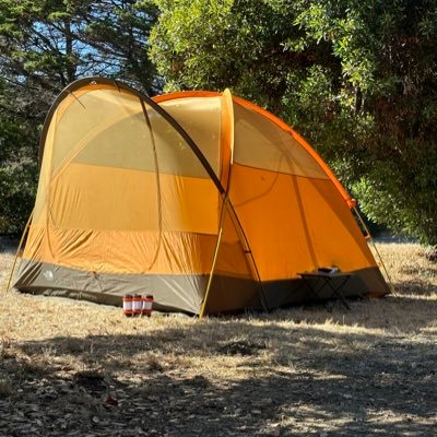 California based. dogs, food, camping & adventures Instagram: @topheavypasadena 📸