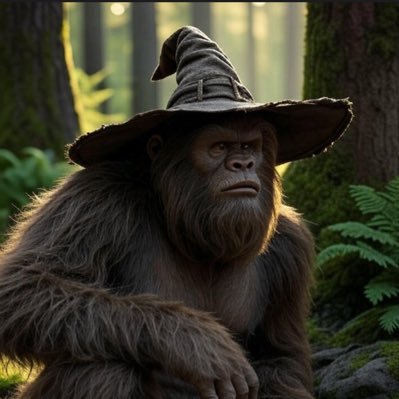 CustomEngineAI's profile picture. Tools are truth machines. Make them talk back. Mapping intelligence, misdirection, and machines.