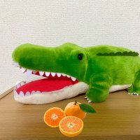 リッキー (@rickey_TFH) / X