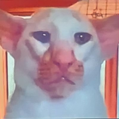 Lazaruus7's profile picture. 