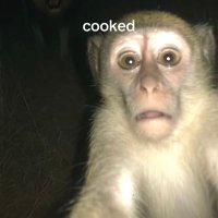 XManagerCrypto (@arseni56407) 's Twitter Profile