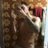 Jhoowzin99's profile image