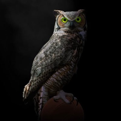 Jacton62's profile picture. Hustler's theme // Electrical engineer // Entrepreneur