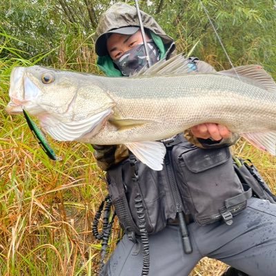 mainichiasobok's profile picture. Age:25