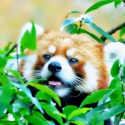 音楽🎵・写真📸・サーキット🏁
申し訳ありませんが、知らない方からのフォローはブロックさせて頂きます。
I don't accept follows from strangers⚠️
撮影会等の掲載画像は許可済み📸
⚠️掲載の写真、本人様・所属事務所様以外の無断使用禁止🈲