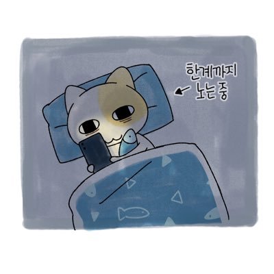 fan account 내가 좋아하는 거 다 팔로우 하는 계정임/ 성인