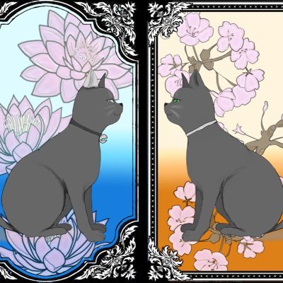 groovieさんのプロフィール画像