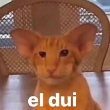 tito