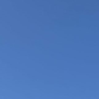 mohyzy's profile picture. 