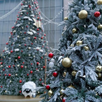 Louis1D2012's profile picture. DM open for real accounts 
Creating Beautiful Moments ✨
Embracing My Journey 🌟