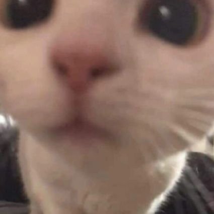 Pdrzkvx's profile picture. 𝟷𝑠𝑡 𝚙𝚐. Gallery of the vague memories of my soul    ✦   I'm Val   ﹆      ─      a  young capricorn  (  Just me  )
ㅤㅤ