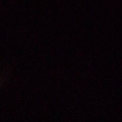 xbirdy11's profile picture. into chub 
not an alter
dm me to know more:)