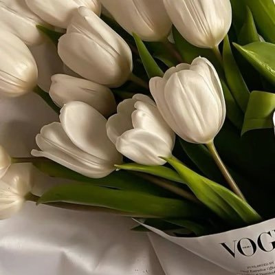 Dipe_shus's profile picture. Be kind🤍