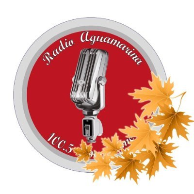 Fono Estudios: 412656292 / whatsapp: +56972281858 / Fono Celular+56972281858 / Redes Sociales: @RadioAguamarina