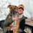 ErikNelson4's profile image