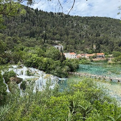 EM203ssuljak's profile picture. 