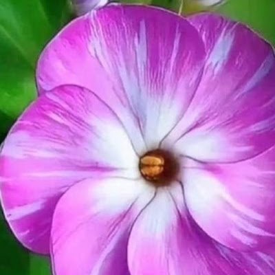 SandraV2202000's profile picture. 