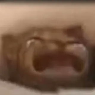 pipito333_'s profile picture. 22 | 🇨🇱 | esp/eng :b