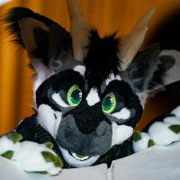 Khaza 🚢 (@khazakias) 's Twitter Profile
