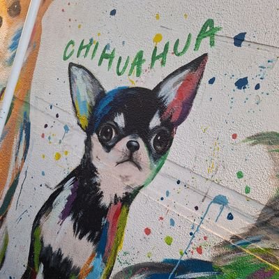 LSami520's profile picture. 🌕️無言フォロー失礼します🙇💦SLAVEの方、802リスナーの方、年齢問わず大歓迎✨
小学生の頃からLUNA SEA沼住人。箱よりのRYUスレ＆🎲🦁。📖好き。娘1(Kポ沼＆真スレ)と娘2(ボカロ&🎲🐇＆Ｊスレ)の母。♥️好き♥️寺社巡り、カフェ、ドライブ/お取引は成人のみ⚠️誹謗中傷は弁護士対応