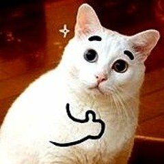 devknob's profile picture. actual cat / will show up at your door unannounced