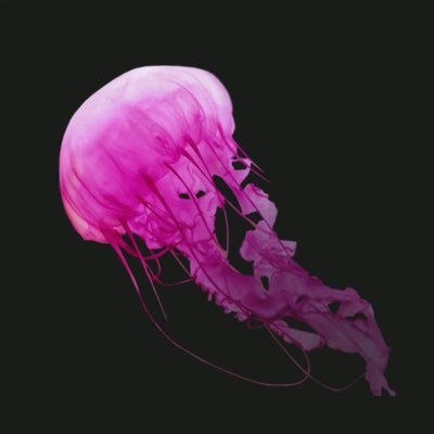 luciii0113's profile picture. Art Account 🎨. ENG/SPA New things coming soon…