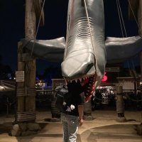 べぇかる@ゆるーり、健康に🥊🏀 (@vecal51999) 's Twitter Profile Photo