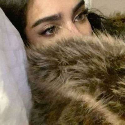 ترفٍ حياوي يجذبّه القصيد
