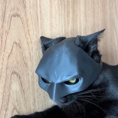 jemitty Profile