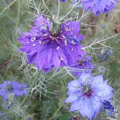 ♀️ Être quelqu'un de Bien, et surtout le rester , .. chaque jour je m'y emploie ..🌿
