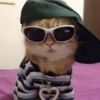 em ᥫ᭡ (@rtweetfinalboss) 's Twitter Profile