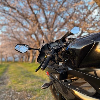 tyomo125's profile picture. gsxr125に乗ってる大学生 gsxr125・s125乗りの人たちと仲良くなりたいです よろしくお願いします🙇 ●・ω・)/ よっ!