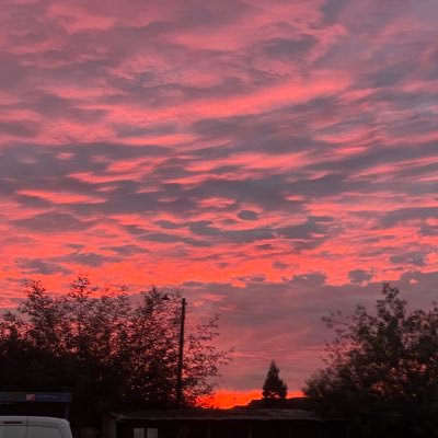 Laraya_a's profile picture. 