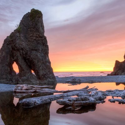 soguinness's profile picture. 