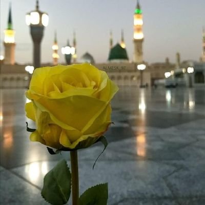 maryam_babajii's profile picture. She found Allah and lived happily ever after.