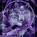 Starz7373 (@starz737359186) Twitter profile photo Starz7373 (@starz737359186) Twitter profile photo