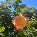 Catherine Toli (@catherinet24902) Twitter profile photo Catherine Toli (@catherinet24902) Twitter profile photo