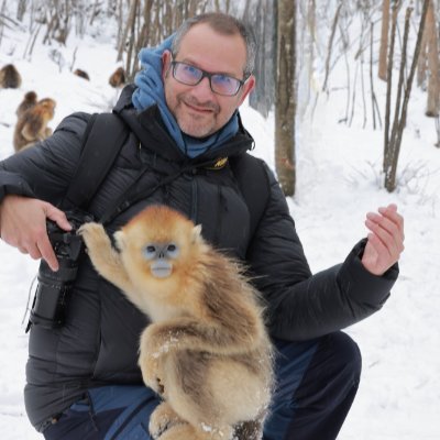 Tomas Marques-Bonetさんのプロフィール画像